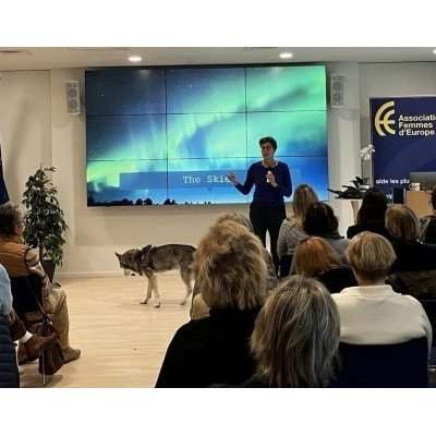 Huskies et la magie de la Laponie finlandaise Huskies et la magie de la Laponie finlandaise