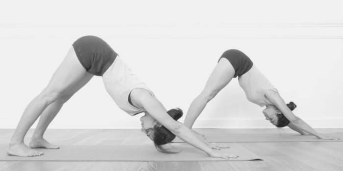 INITIATION AU YOGA ON LINE SELON LA MÉTHODE LYENGAR