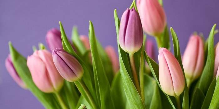 Spring Lunch