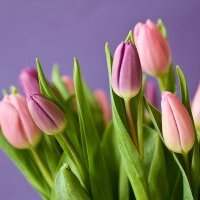 Spring Lunch