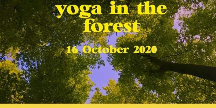 Power walking and yoga in the forest